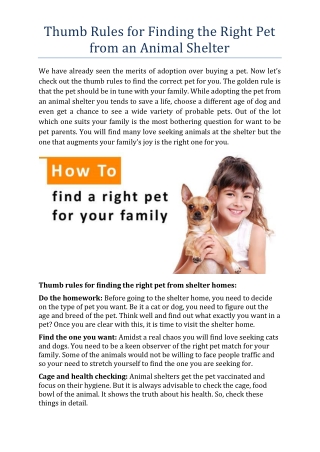 Thumb Rules for Finding the Right Pet from an Animal Shelter