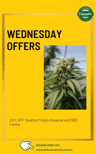 Wednesday Offers ,Marijuana store near me in Lacey WA
