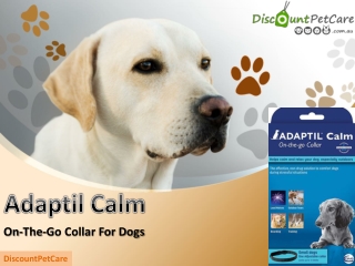 Buy Adaptil Calm On-The-Go Collar For Dogs Online - DiscountPetCare