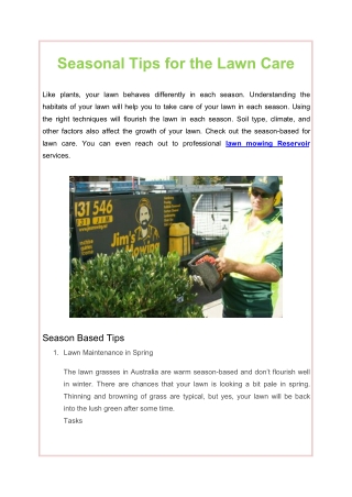 Seasonal Tips for the Lawn Care