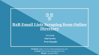 B2B Email Lists Scraping from Online Directory