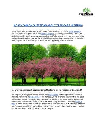 MOST COMMON QUESTIONS ABOUT TREE CARE IN SPRING