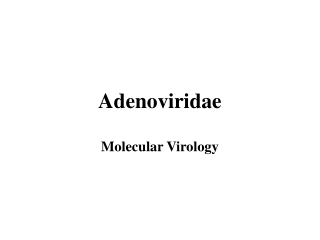 Adenoviridae