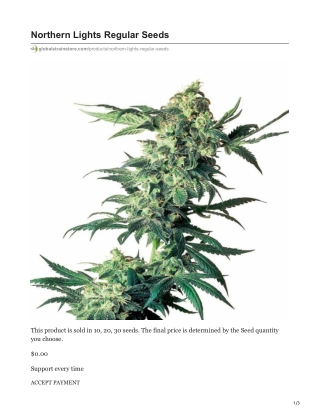 Northern Lights Regular Seeds