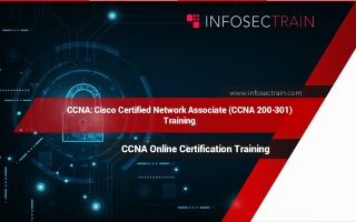 CCNA Online Certification Training