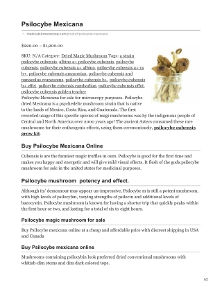 Psilocybe Mexicana
