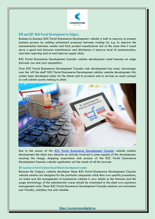 B2B and B2C Web Portal Development In Calgary