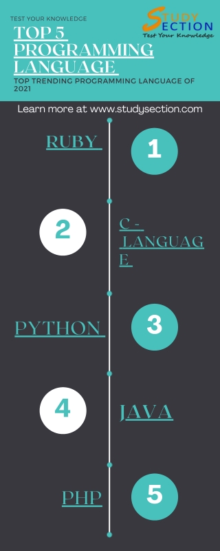 TOP 5 PROGRAMMING LANGUAGES | students | COLLEGES | COMPUTER SCIENCE