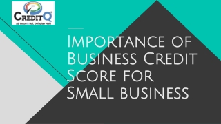 Importance of Business Credit Score for Small business