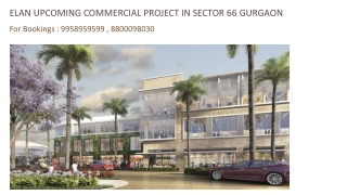 Elan New Commercial Golf Course Ext, Elan Sector 66 Project Brochure, 8800098030