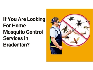 If You Are Looking For Home Mosquito Control Services in Bradenton?