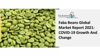 Faba Beans Market Opportunities And Growth Forecast To 2025