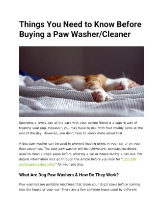 Best paw washer