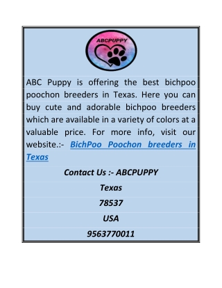 Bichpoo Poochon Breeders in Texas | Abcpuppy.com