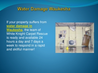 Water Damage Waukesha..