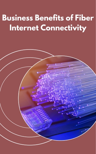 Business Benefits of Fiber Internet Connectivity