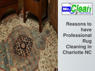 Reasons to have Professional Rug Cleaning in Charlotte NC