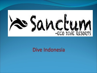 Dive Indonesia