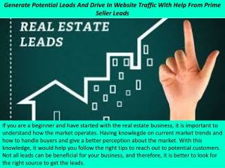 Generate Potential Leads And Drive In Website Traffic With Help From Prime Seller Leads