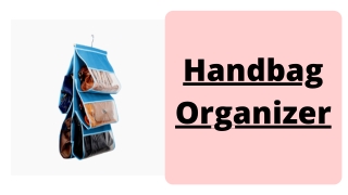 Handbag organizer