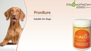 Buy PRON8URE (PROTEXIN) SOLUBLE For Dogs Online - DiscountPetCare