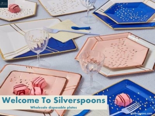 Wholesale disposable plates
