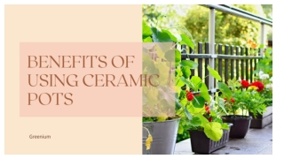 Benefits of using ceramic pots