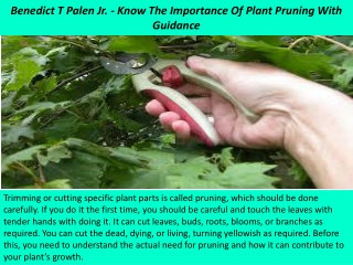 Benedict T Palen Jr. - Know The Importance Of Plant Pruning With Guidance