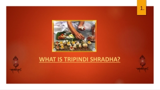 Tripindi Shradha Puja at Trimbakeshwar