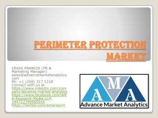 Perimeter Protection Market