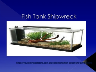 Fish Tank Shipwreck