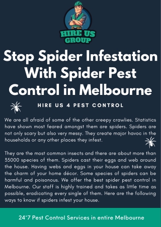 Stop Spider Infestation With Spider Pest Control in Melbourne