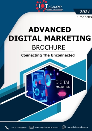 Advanced Digital Marketing Brochure