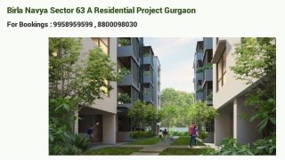 Birla Navya Drisha 3 BHK With Terrace Price, Birla Sector 63 A Project Video