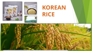 Korean Rice