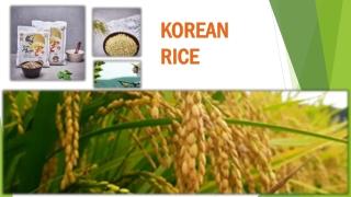 korean rice