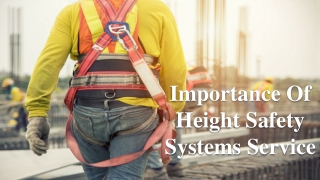 Importance Of Height Safety Systems Service