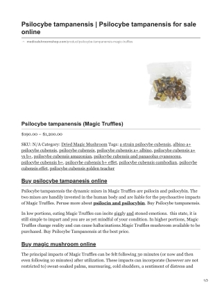 Psilocybe Tampanensis