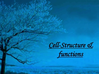 cell structure and functions