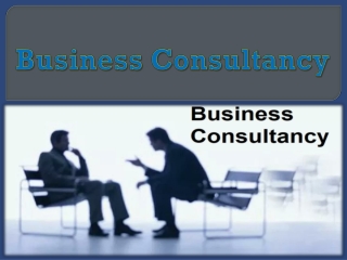 Business Consultancy