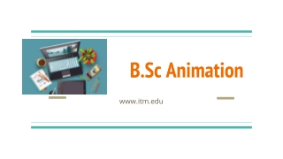 B.Sc Animation