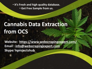 Cannabis Data Extraction from OCS