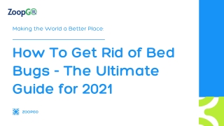 How To Get Rid of Bed Bugs - The Ultimate Guide for 2021