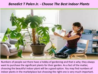 Benedict T Palen Jr. - Choose The Best Indoor Plants