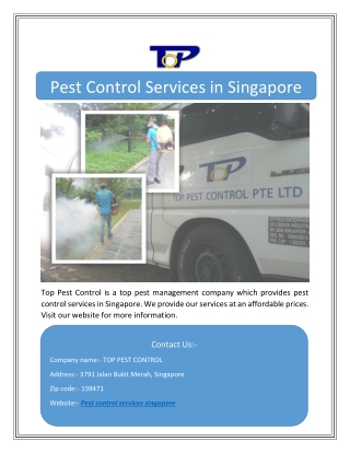 Pest Control Services in Singapore