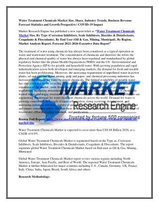Water Treatment Chemicals Market