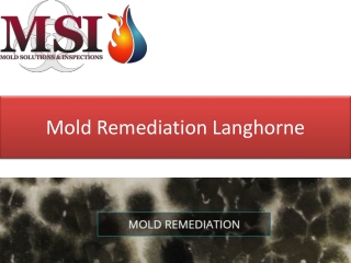 Mold Remediation Langhorne