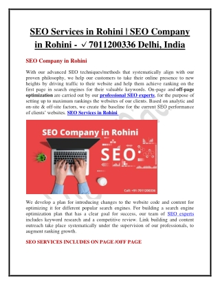 SEO Company in Rohini