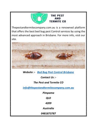 Bed Bug Pest Control Brisbane | Thepestandtermitecompany.com.au