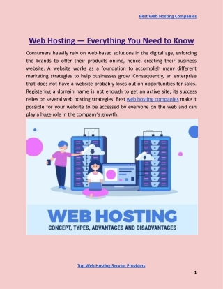 Web Hosting  Everything You Need to Know
